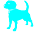 Pet Accessories