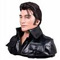 Elvis Talking Robot